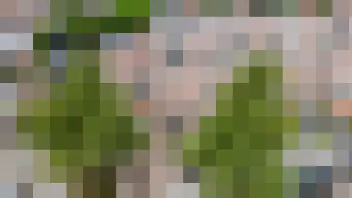 Wouter van de Kampstraat 15 Nijkerkerveen thumbnail 41
