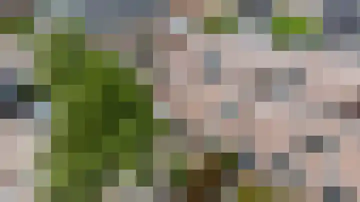 Wouter van de Kampstraat 15 Nijkerkerveen thumbnail 42