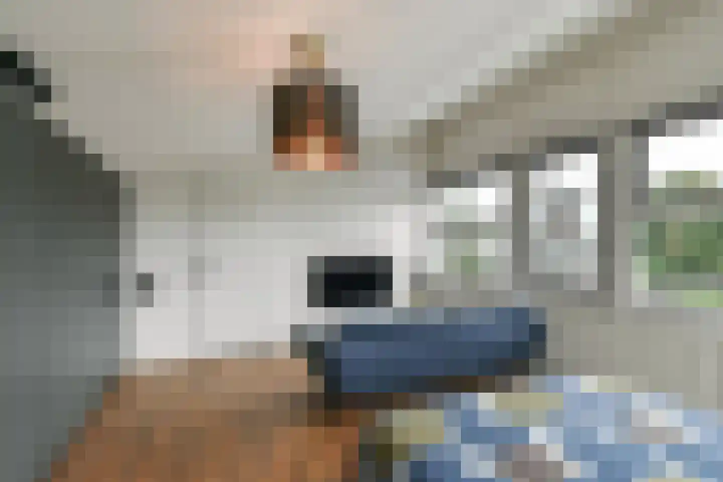 Wouter van den Born-plantsoen 6 Renkum thumbnail 30