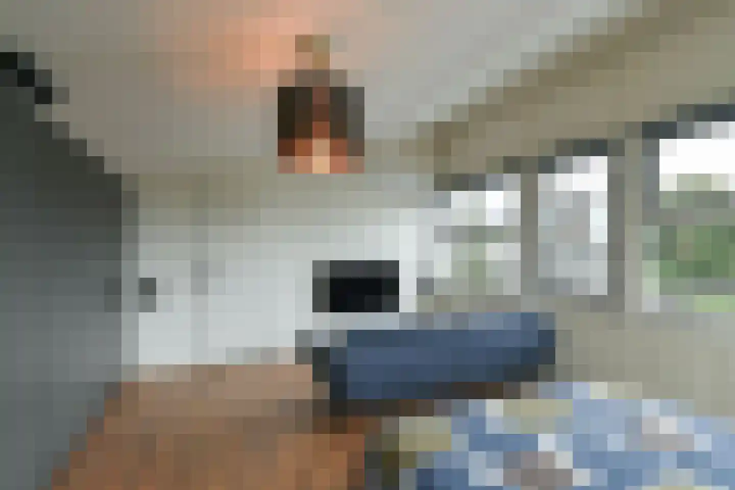 Wouter van den Born-plantsoen 6 Renkum thumbnail 30