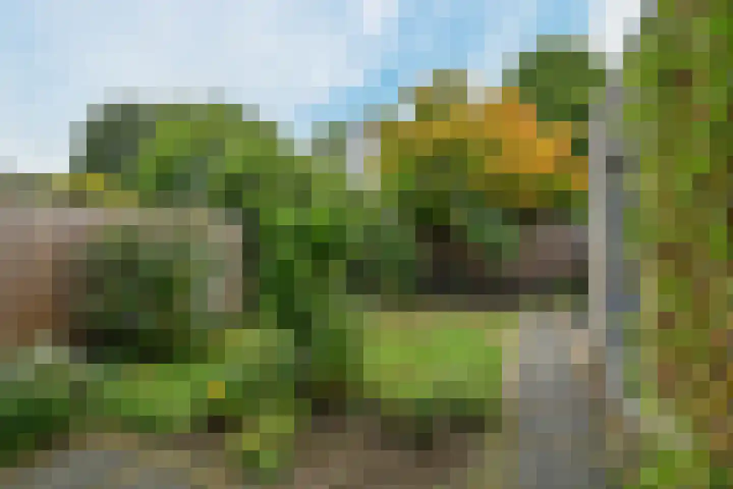 Wouter van den Born-plantsoen 6 Renkum thumbnail 38