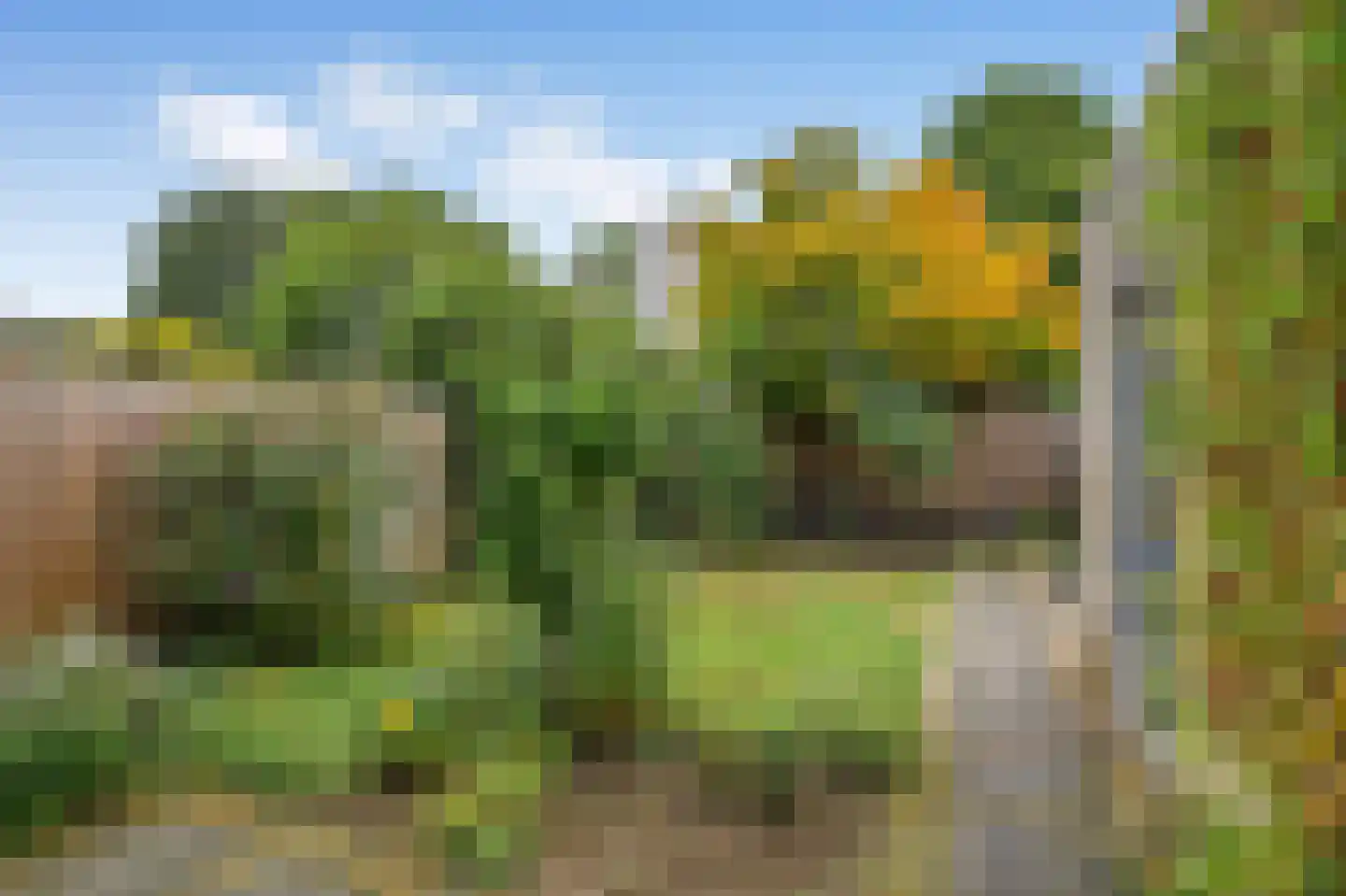 Wouter van den Born-plantsoen 6 Renkum thumbnail 4