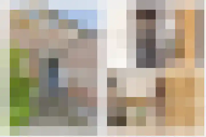 Wouter van Dijklaan 16 Hooglanderveen thumbnail 11