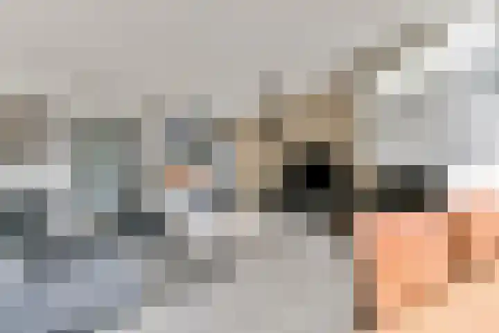 Wouter van Dijklaan 16 Hooglanderveen thumbnail 14