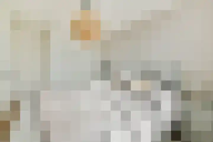 Wouter van Dijklaan 16 Hooglanderveen thumbnail 26