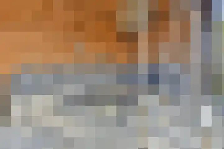 Wouter van Dijklaan 16 Hooglanderveen thumbnail 37