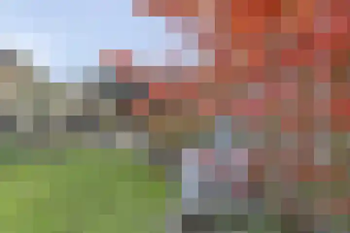 Wouter van Dijklaan 16 Hooglanderveen thumbnail 39