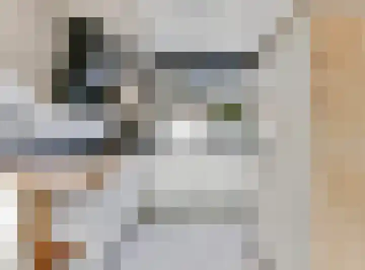 Wouter van Dijklaan 16 Hooglanderveen thumbnail 4