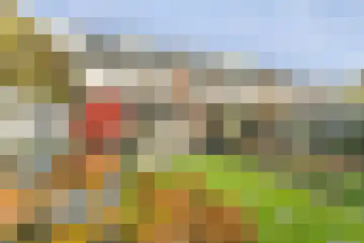Wouter van Dijklaan 16 Hooglanderveen thumbnail 41