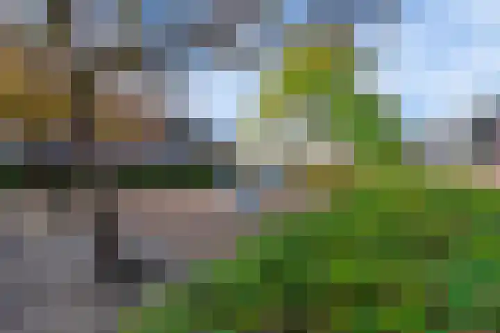 Wouter van Dijklaan 16 Hooglanderveen thumbnail 42