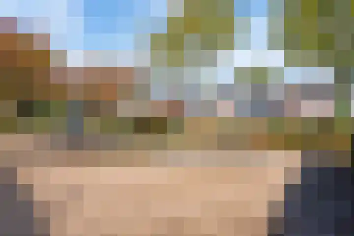 Wouter van Dijklaan 16 Hooglanderveen thumbnail 43