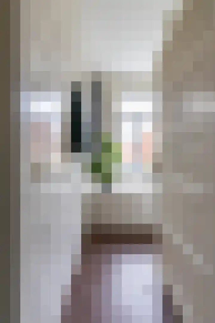 Wouter van Doeverenplein 5 Groningen thumbnail 32