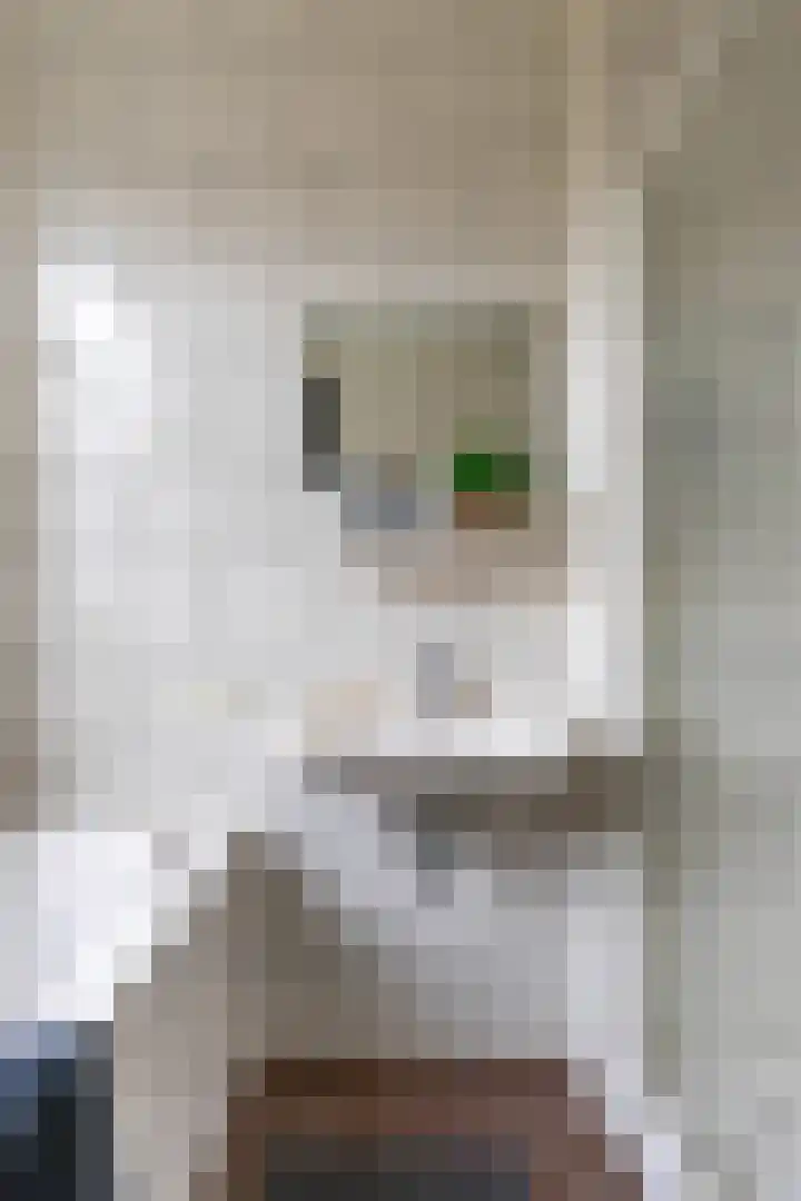 Wouter van Doeverenplein 5 Groningen thumbnail 34