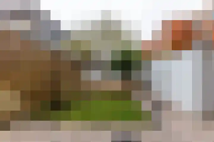 Wouter van Doeverenplein 5 Groningen thumbnail 37