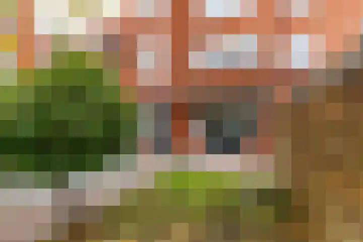 Wouter van Doeverenplein 5 Groningen thumbnail 39