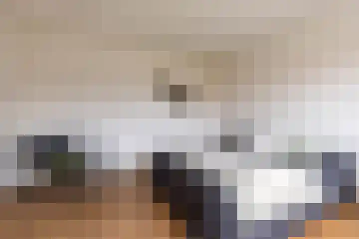 Wouter van Doeverenplein 5 Groningen thumbnail 4