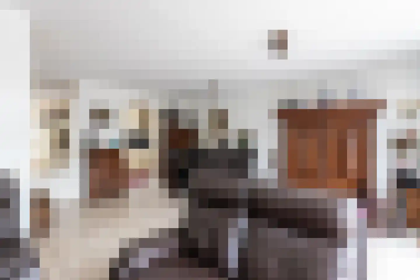 Wouter van Langherakelaan 16 Langerak thumbnail 14