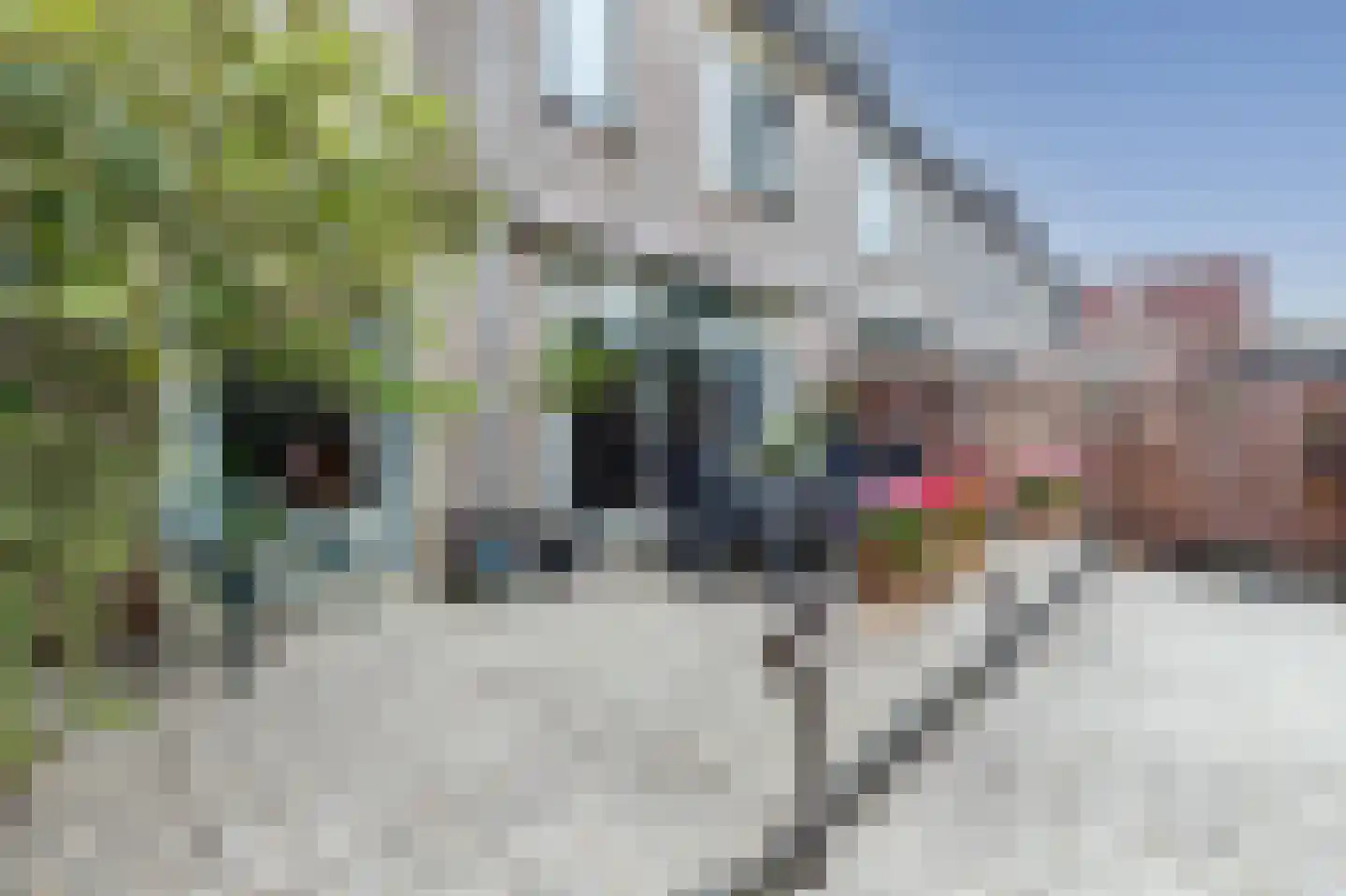 Wouter van Langherakelaan 16 Langerak thumbnail 39