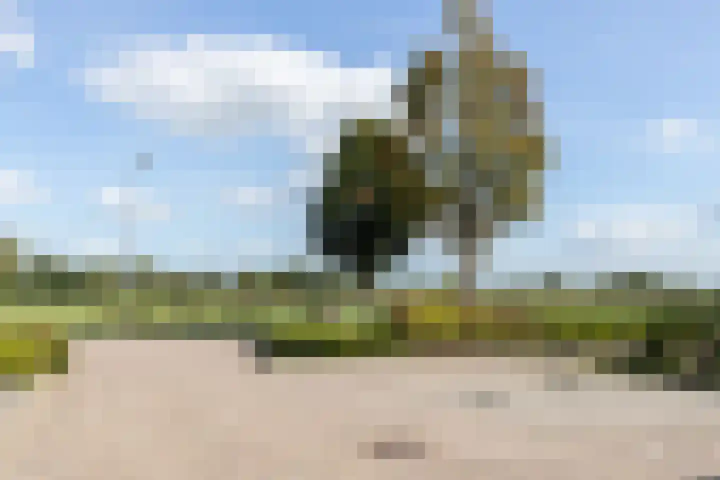 Wouter van Langherakelaan 16 Langerak thumbnail 41