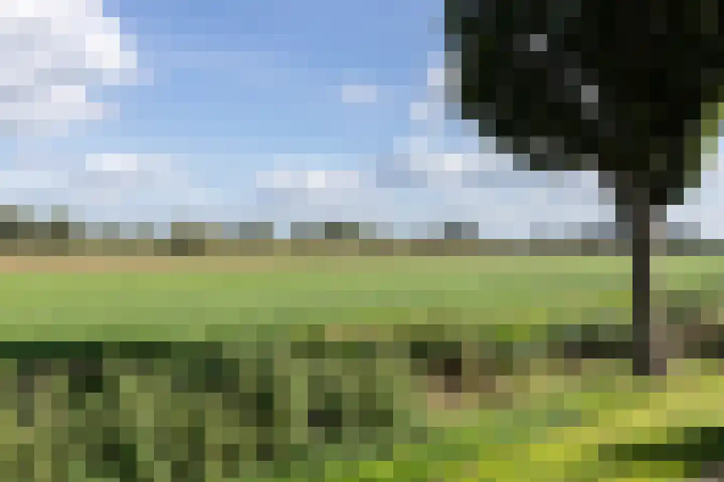 Wouter van Langherakelaan 16 Langerak thumbnail 6