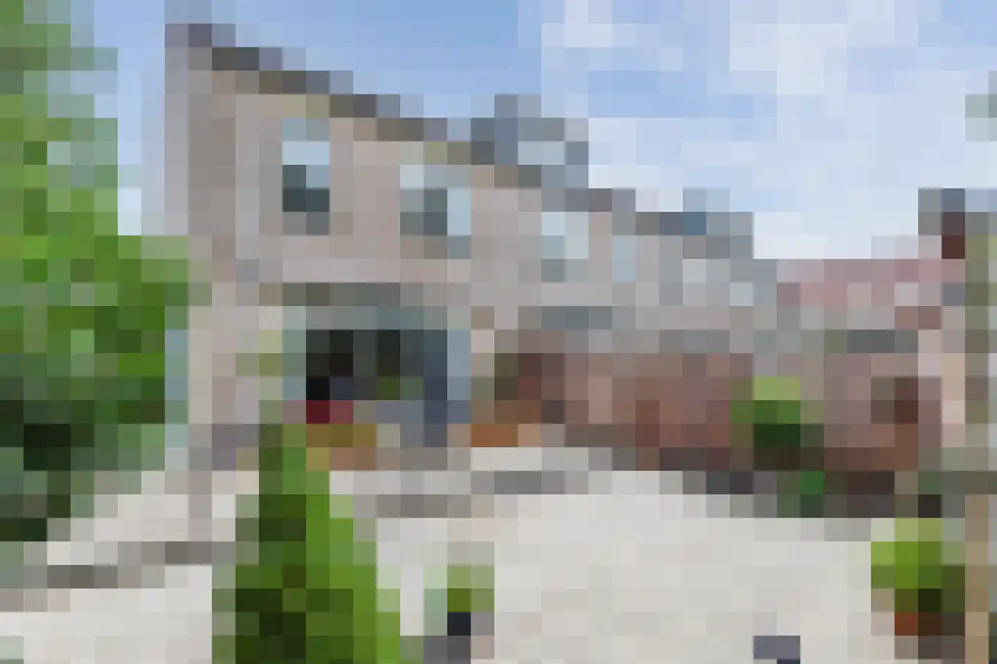 Wouter van Langherakelaan 16 Langerak thumbnail 6