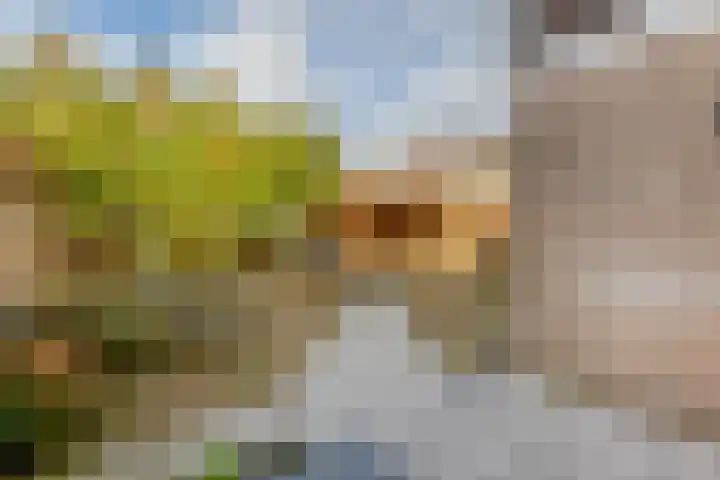 Wouter van Langherakelaan 40 Langerak thumbnail 30