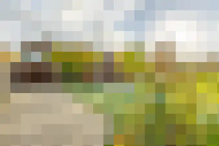 Wouter van Langherakelaan 40 Langerak thumbnail 34