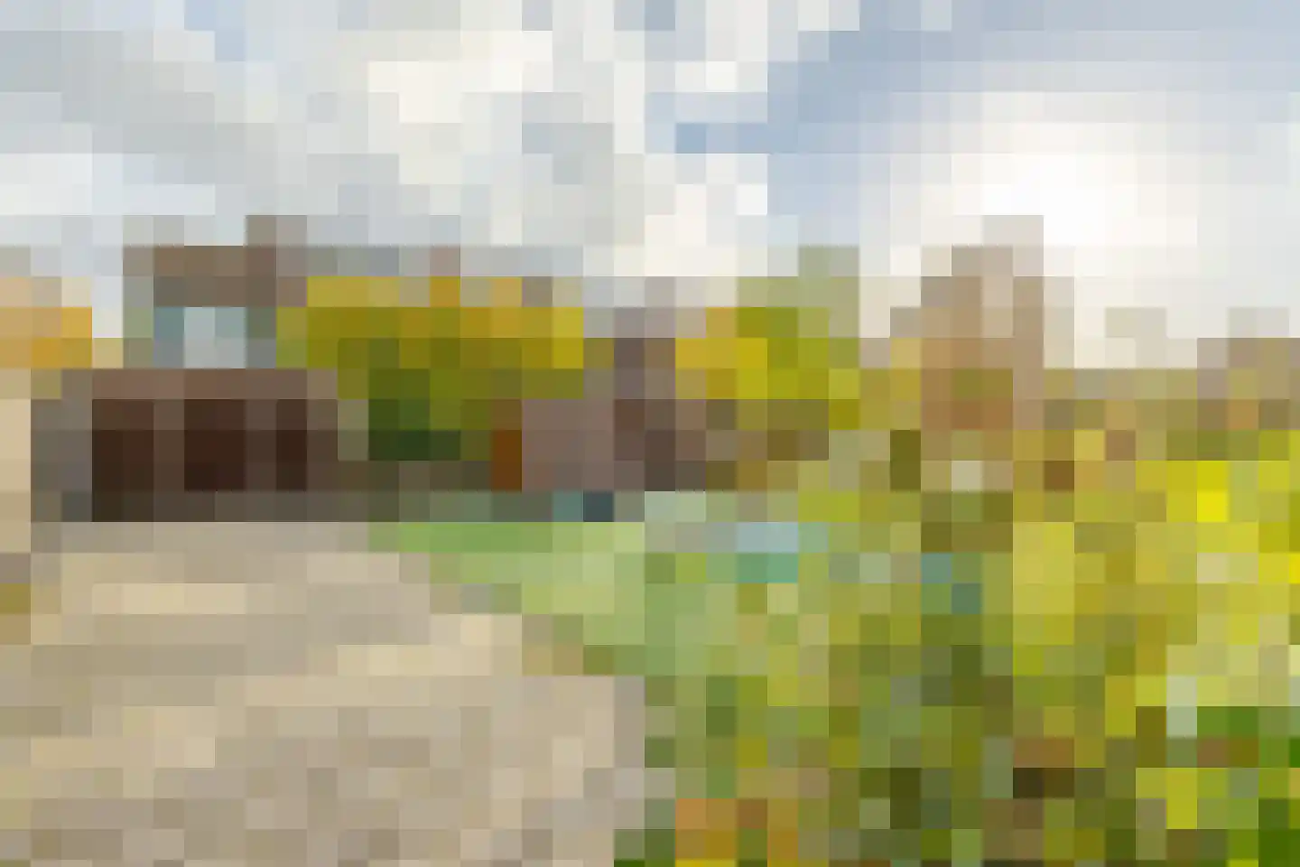 Wouter van Langherakelaan 40 Langerak thumbnail 34