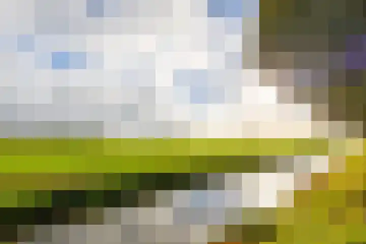 Wouter van Langherakelaan 40 Langerak thumbnail 35
