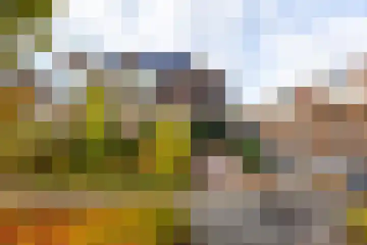 Wouter van Langherakelaan 40 Langerak thumbnail 36