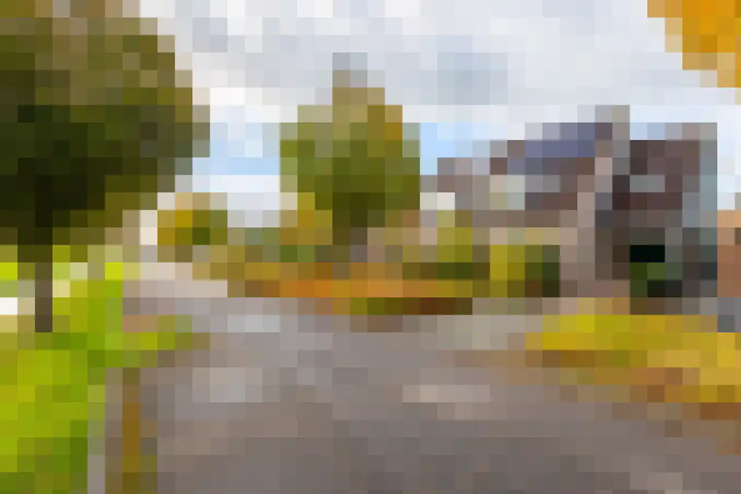 Wouter van Langherakelaan 40 Langerak thumbnail 37
