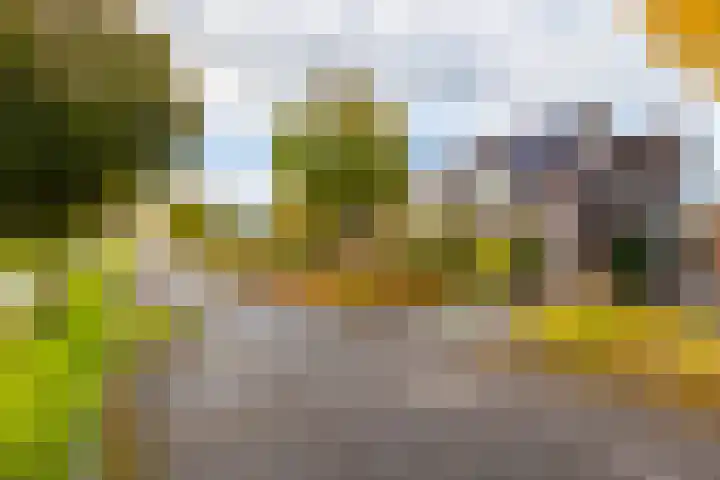 Wouter van Langherakelaan 40 Langerak thumbnail 37