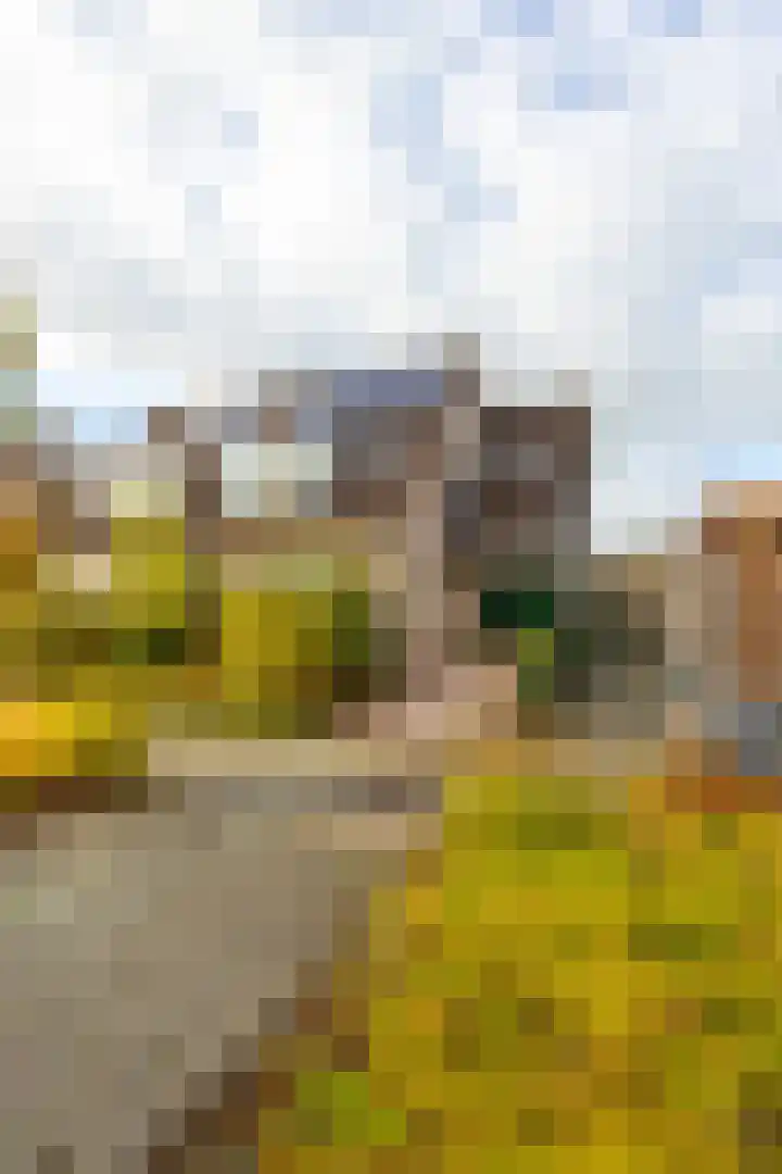 Wouter van Langherakelaan 40 Langerak thumbnail 38