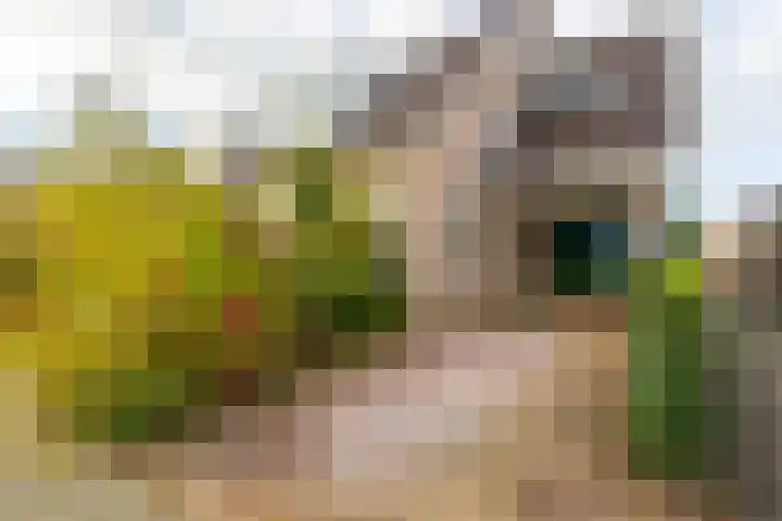 Wouter van Langherakelaan 40 Langerak thumbnail 5