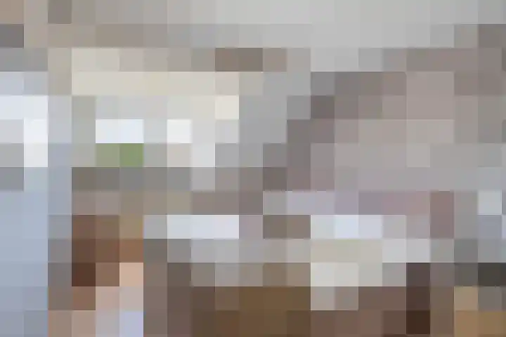 Wouter van Langherakelaan 68 Langerak thumbnail 18
