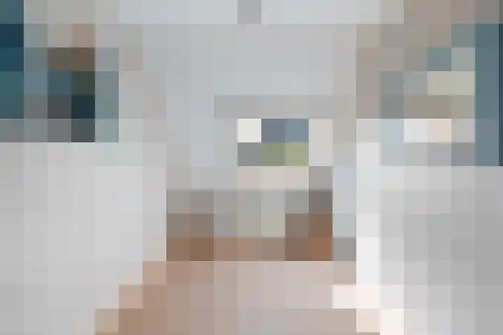 Wouter van Langherakelaan 68 Langerak thumbnail 22