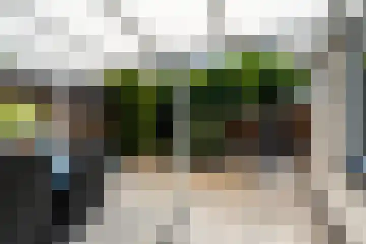 Wouter van Langherakelaan 68 Langerak thumbnail 30