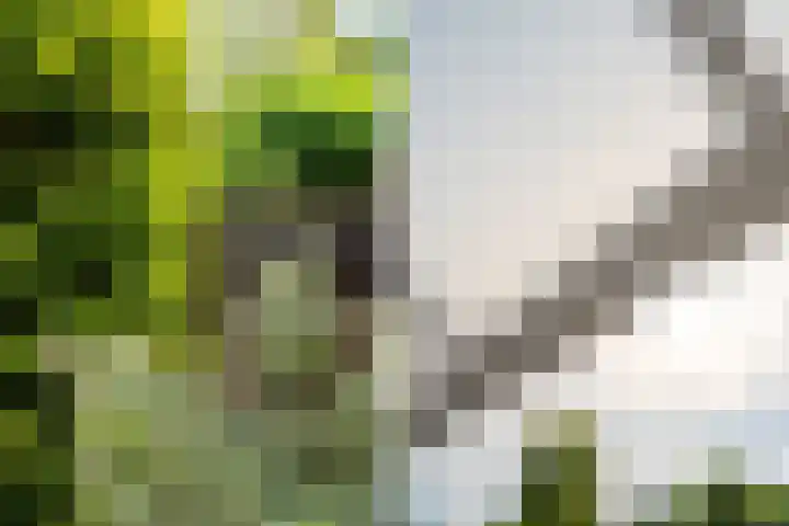 Wouter van Langherakelaan 68 Langerak thumbnail 31