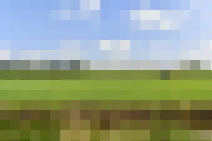 Wouter van Langherakelaan 68 Langerak thumbnail 34