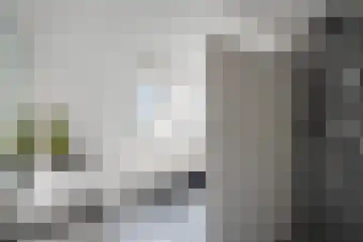 Wouter van Langherakelaan 68 Langerak thumbnail 4