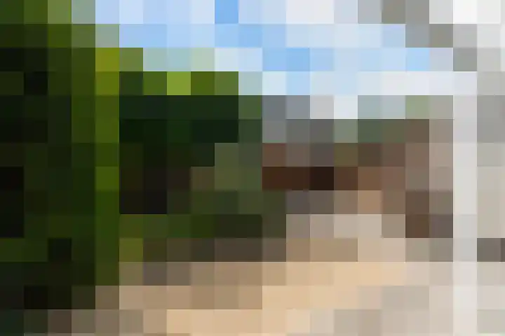 Wouter van Langherakelaan 68 Langerak thumbnail 5