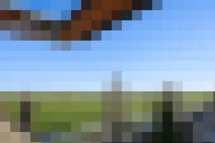 Wouter van Langherakelaan 72 Langerak thumbnail 20