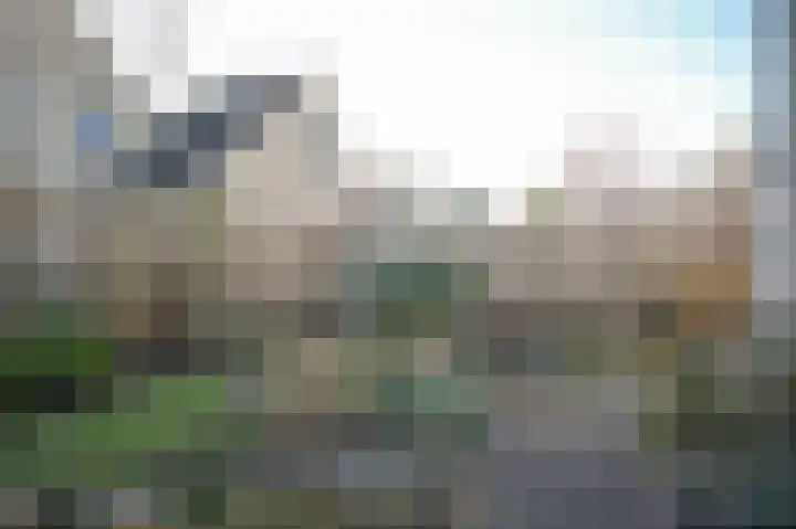 Wouter van Langherakelaan 72 Langerak thumbnail 30
