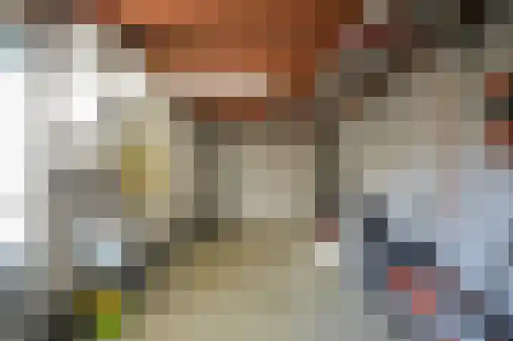 Wouter van Langherakelaan 72 Langerak thumbnail 32