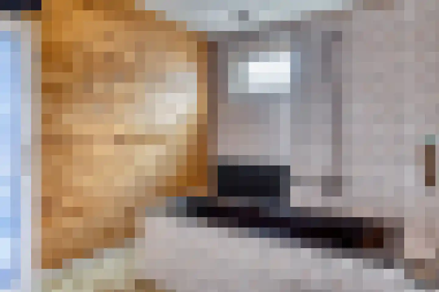 Wouterij 10 Koewacht thumbnail 16