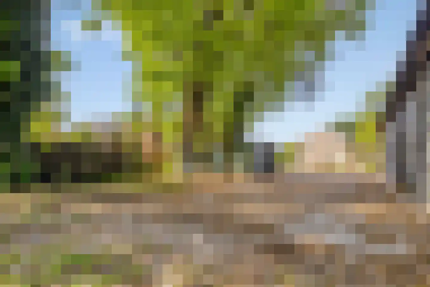 Wouterij 10 Koewacht thumbnail 39