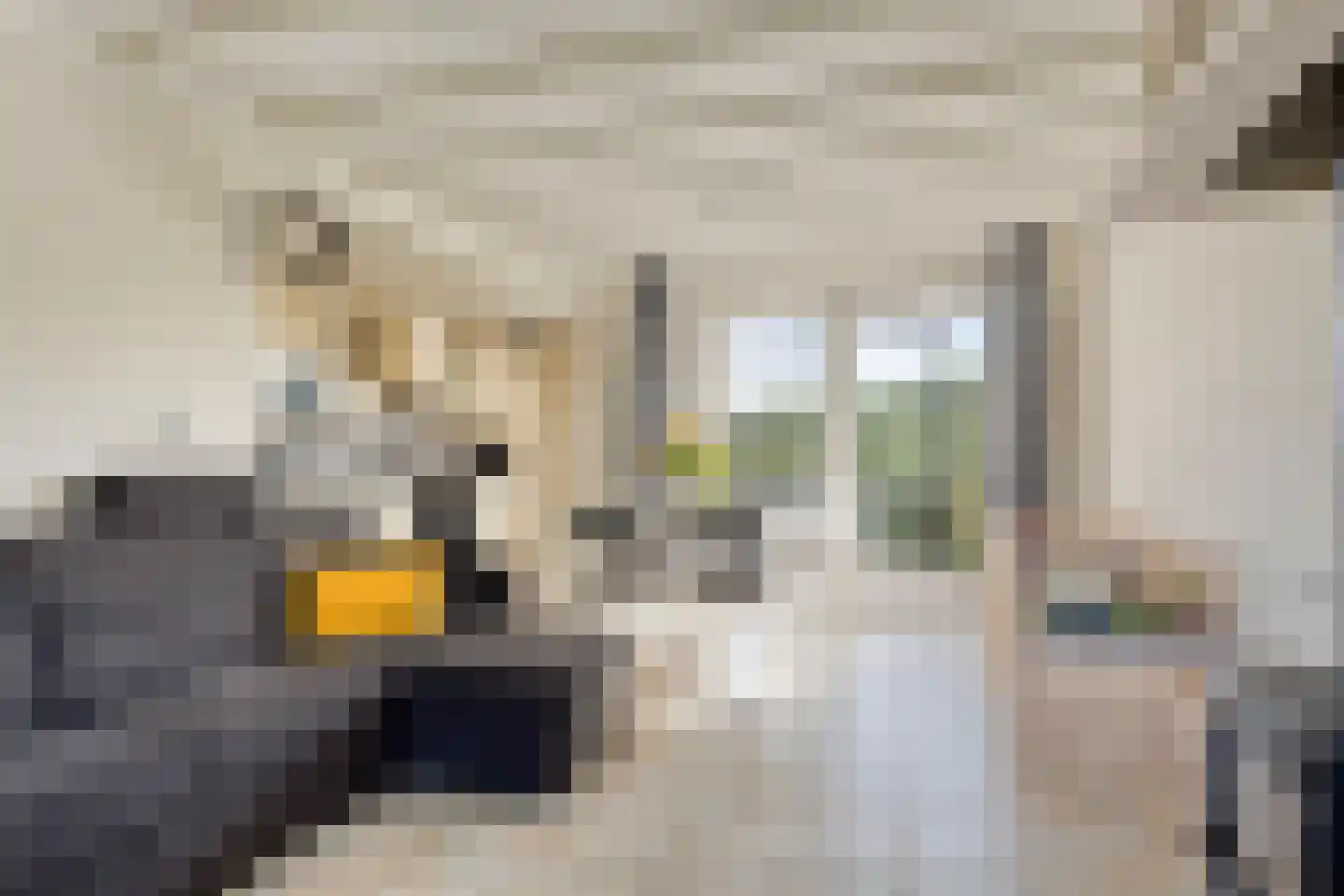 Wouterij 34 Koewacht thumbnail 10