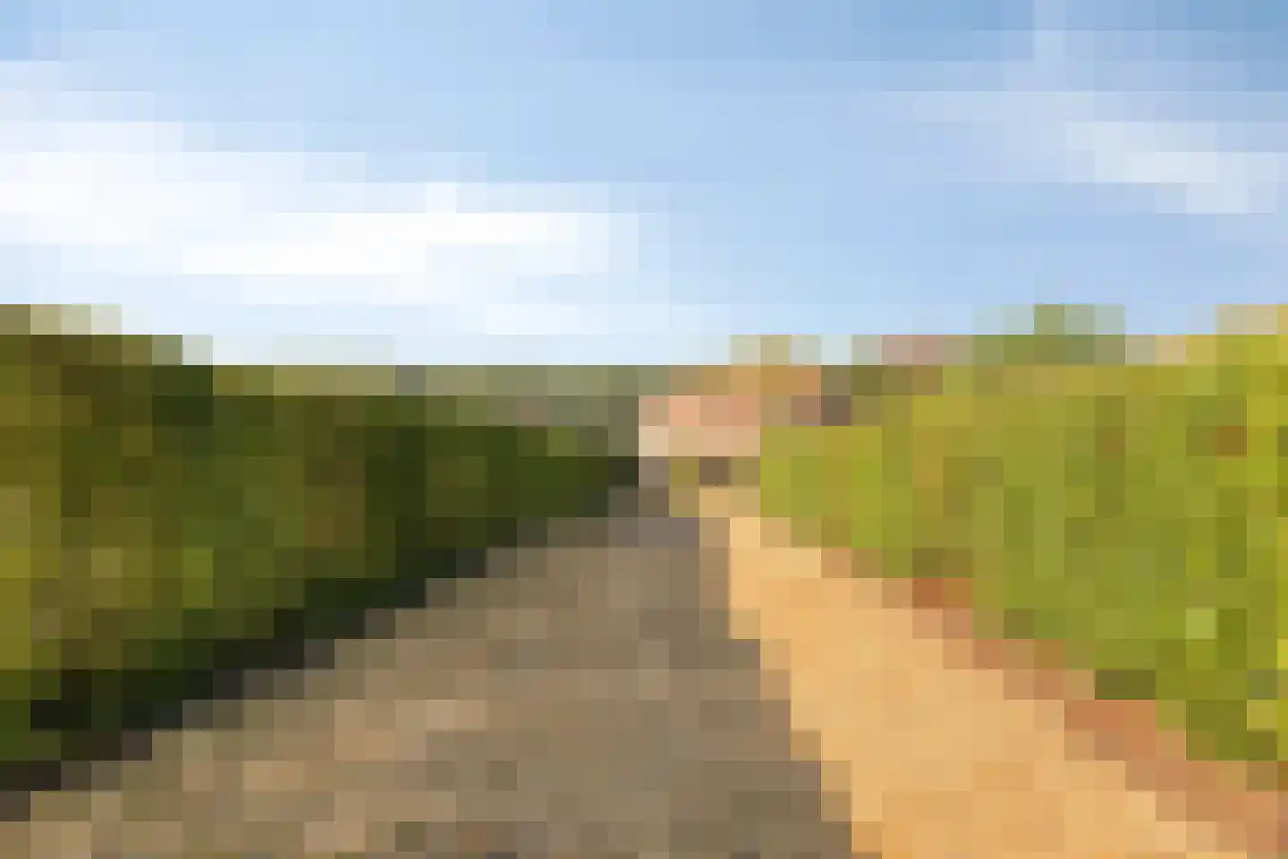 Wouterij 34 Koewacht thumbnail 32