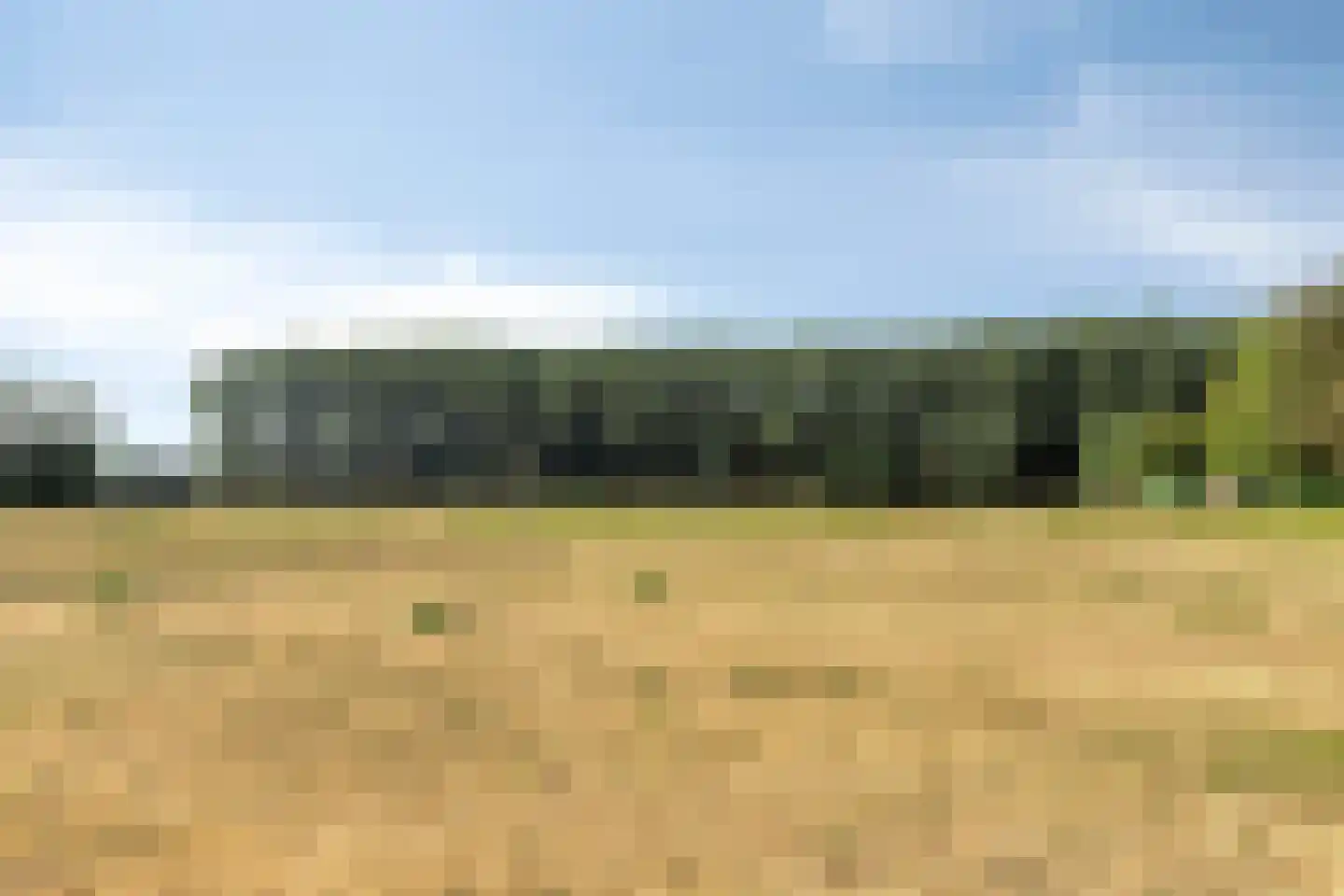 Wouterij 34 Koewacht thumbnail 35