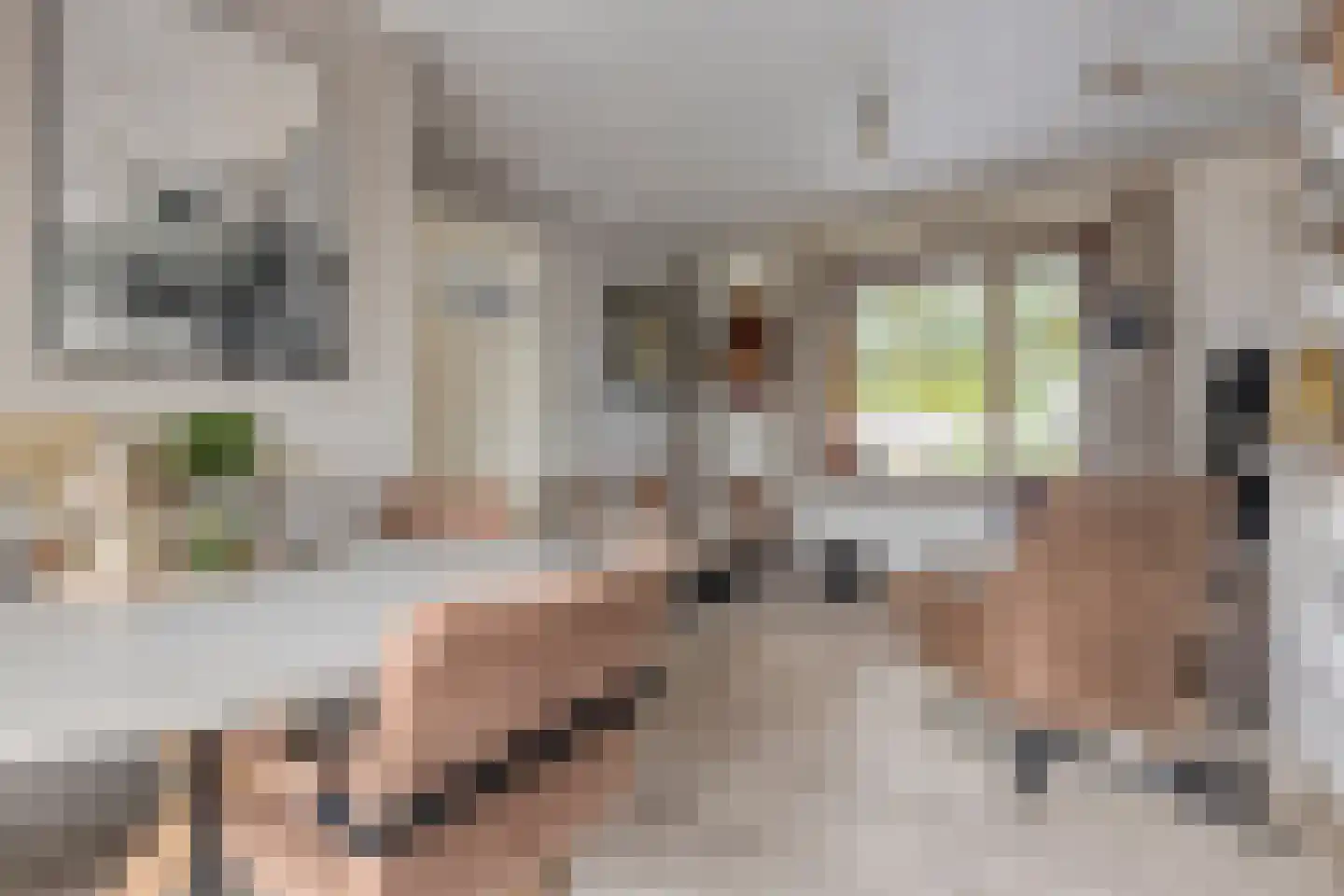Wouterij 35 Koewacht thumbnail 11